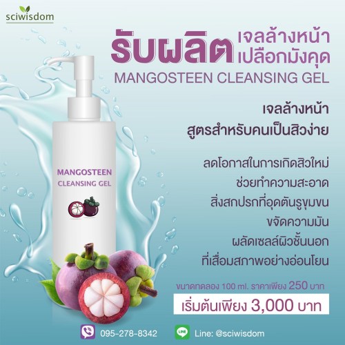 เจลล้างหน้า เปลือกมังคุด  (Mangosteen Cleansing Gel) 100g. A M