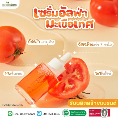 เซรั่มอัลฟ่า มะเขือเทศ Tomato Serum   30g. A M